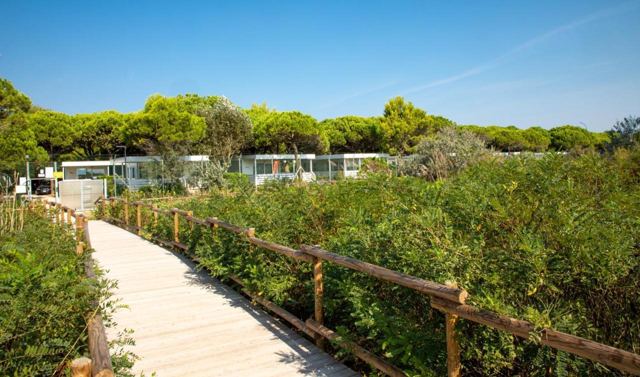 Club Del Sole Family 3* Lido di Jesolo