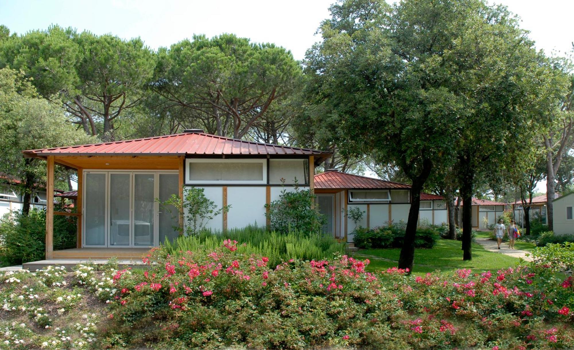 Club Del Sole家族